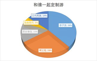 電子商務與互聯網數據中心 199it軟件外包服務的價值與影響