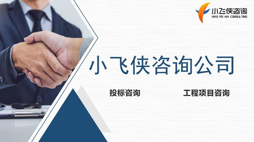 河南小飛俠企業管理咨詢