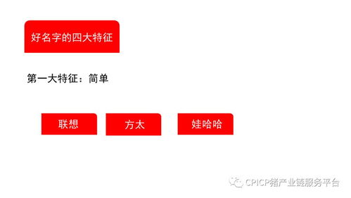 肖一刀 從無到有,打造豬肉品牌丨2018第三屆中國豬產(chǎn)業(yè)鏈生態(tài)圈年會